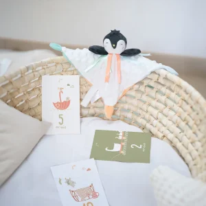 Coffret naissance-instants magiques