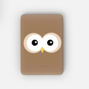 Batterie externe « Hibou ».